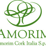 logo_amorim